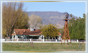 Cottonwood Windmill