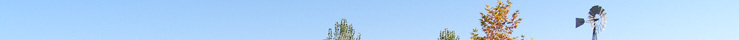 Cornville Real Estate