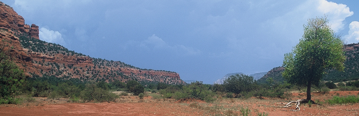 Sedona Arizona Real Estate