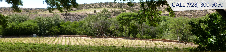 Cornville and Page Springs Arizona real estate properties in the green belt - Oak Creek with view of vineyards