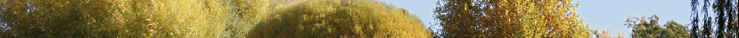 Cottonwood AZ Real Estate