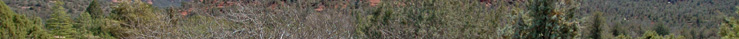 Sedona Realtor Lee Congdon will sell your home